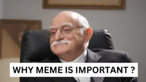 Why Meme is important