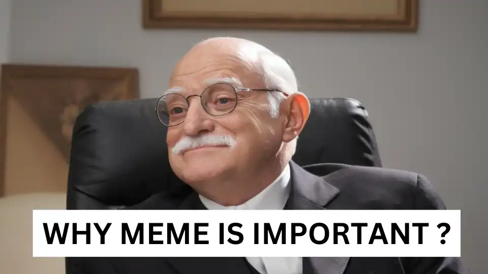 Why Meme is important